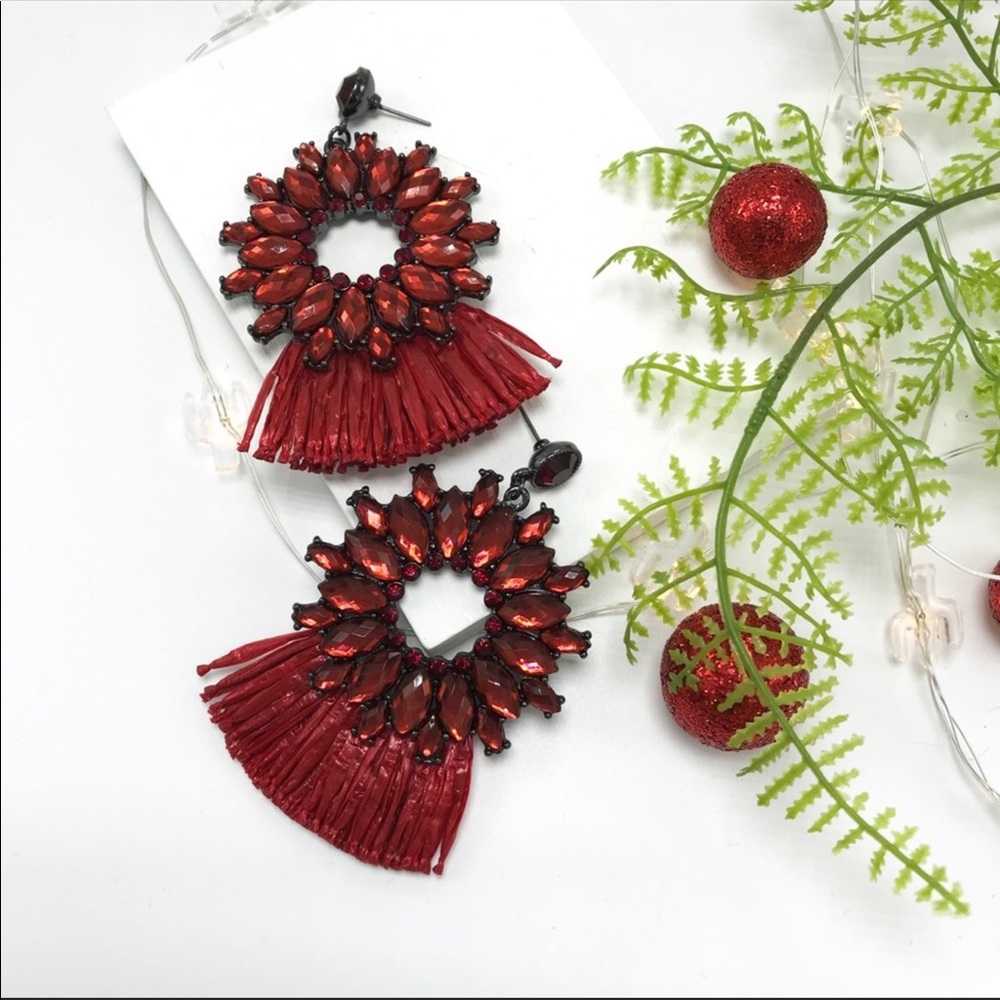 Red Embellished Tassel Earrings (D16)